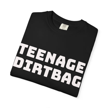 Teenage Dirtbag Graphic T-Shirt — "I'm Just a Teenage Dirtbag" Retro Band Tee