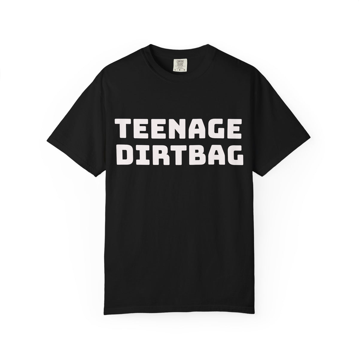 Teenage Dirtbag Graphic T-Shirt — "I'm Just a Teenage Dirtbag" Retro Band Tee
