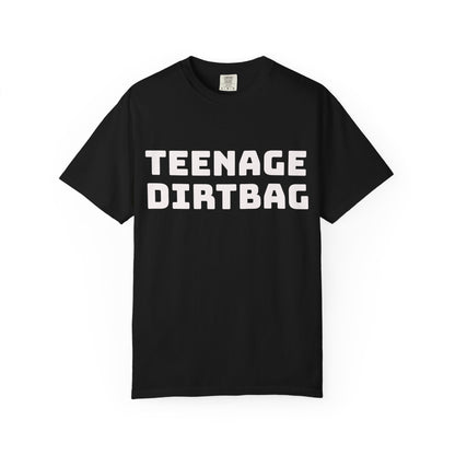 Teenage Dirtbag Graphic T-Shirt — "I'm Just a Teenage Dirtbag" Retro Band Tee