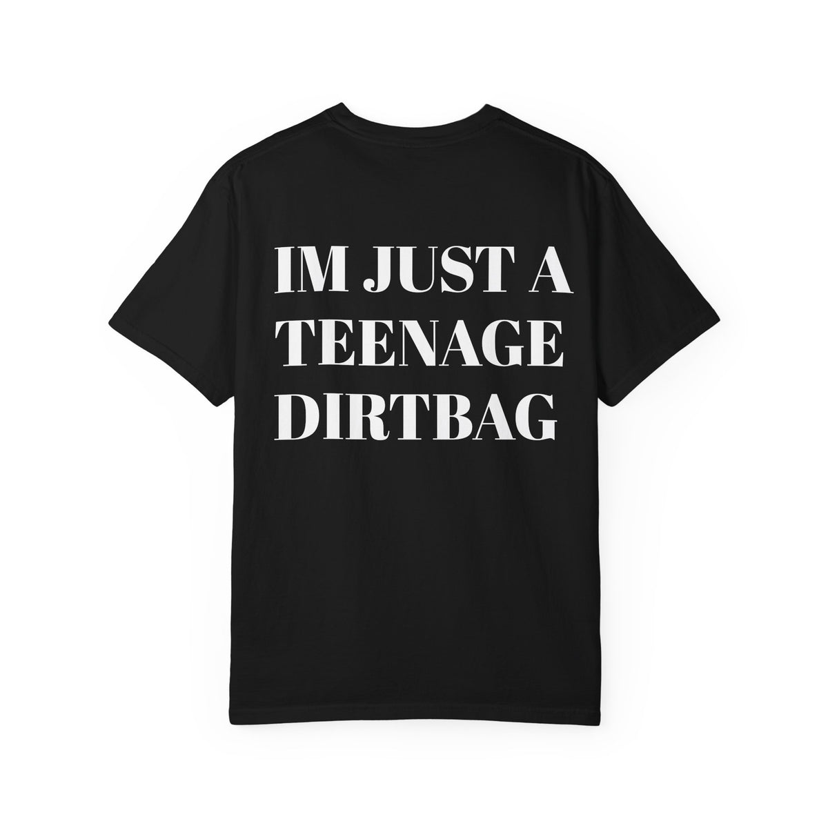 Teenage Dirtbag Graphic T-Shirt — "I'm Just a Teenage Dirtbag" Retro Band Tee